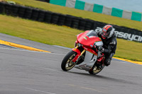 PJ-Motorsport-2019;anglesey-no-limits-trackday;anglesey-photographs;anglesey-trackday-photographs;enduro-digital-images;event-digital-images;eventdigitalimages;no-limits-trackdays;peter-wileman-photography;racing-digital-images;trac-mon;trackday-digital-images;trackday-photos;ty-croes